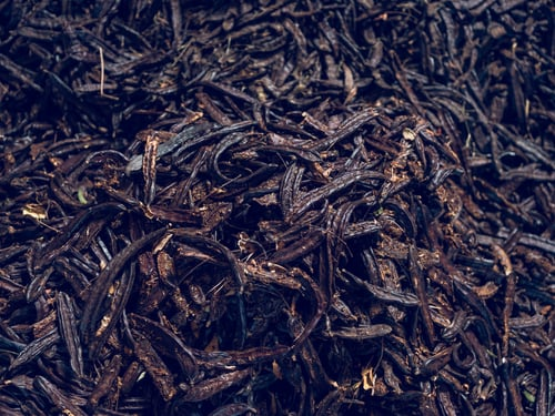 Mulch in Florida Landscapes: What to Use and How Much