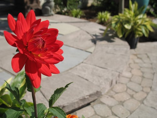 Hardscaping / Patios y Caminos