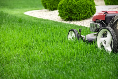 Lawn Mowing / Corte de Césped