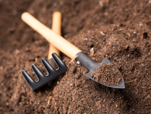 Mulching / Colocación de Mulch