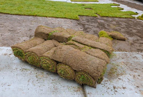 Sod Installation / Instalación de Grama